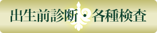 出生前診断・各種検査