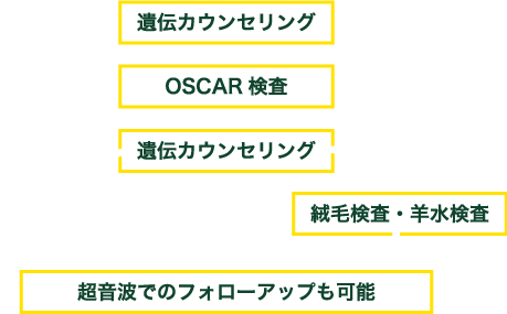 遺伝カウンセリング→OSCAR検査→遺伝カウンセリング出生前診断の流れ